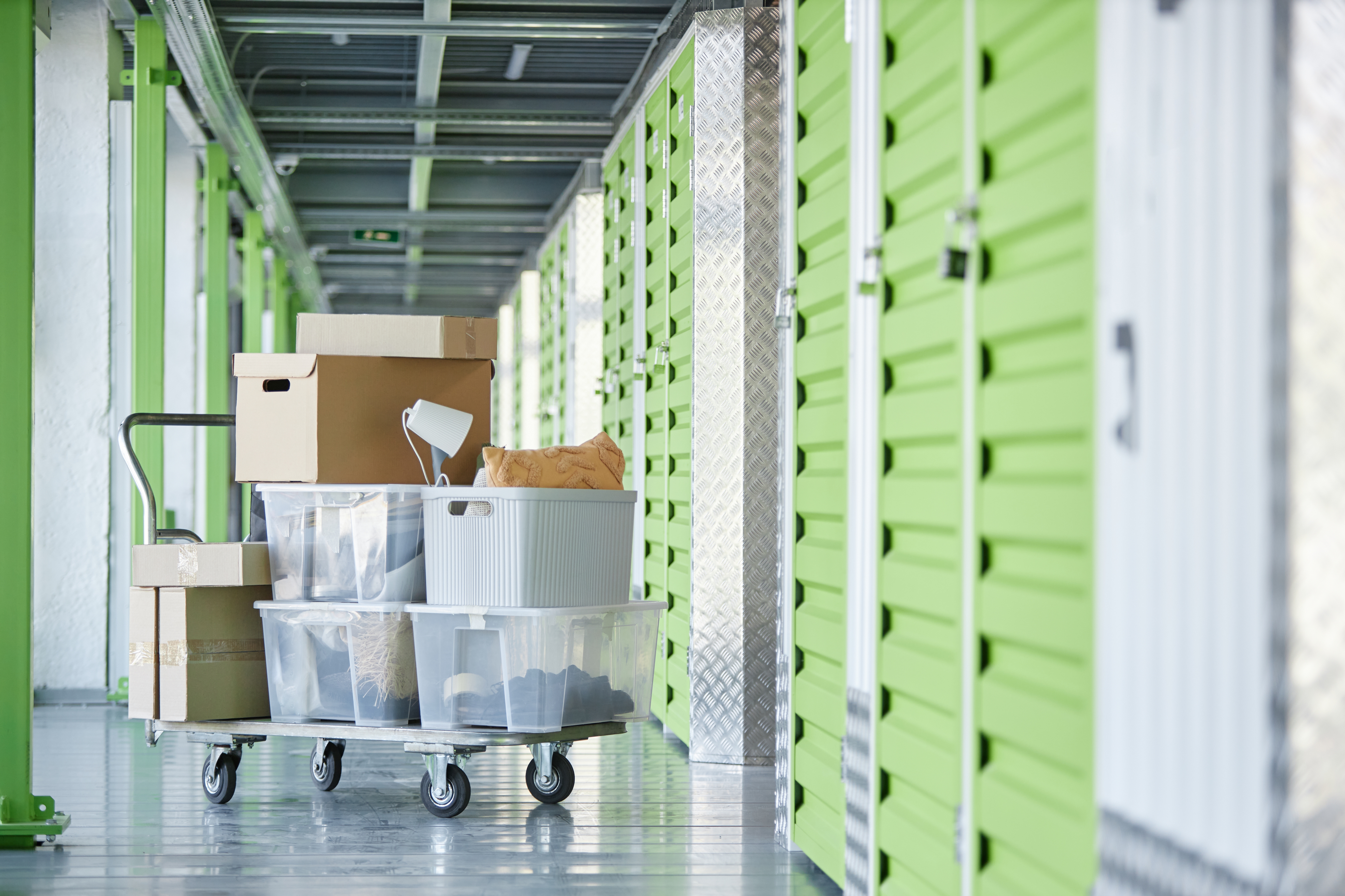 Storage Contents in Hallway